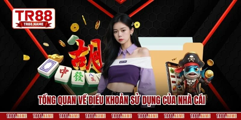Tổng quan về điều khoản sử dụng của nhà cái