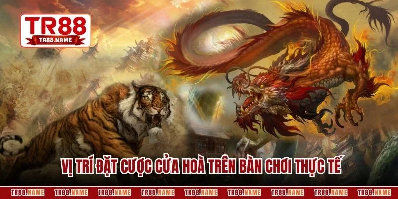 Vị trí đặt cược cửa hoà trên bàn chơi thực tế